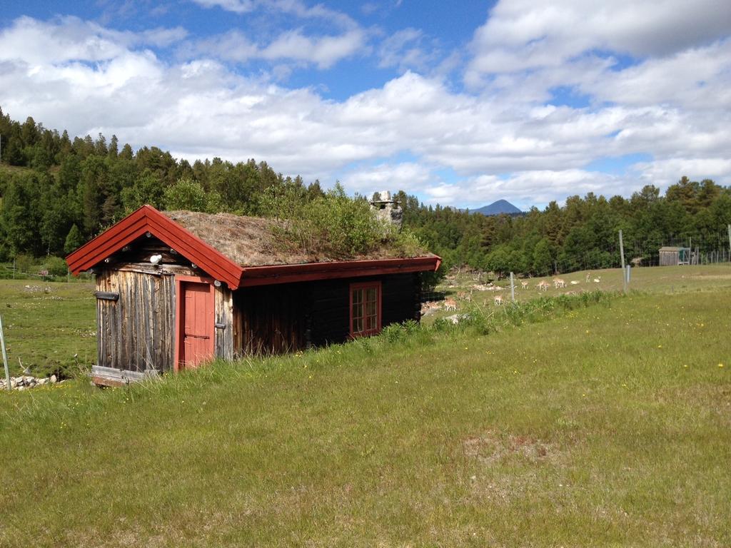 Rondane Friluftssenter Rondetunet Brenn Номер фото
